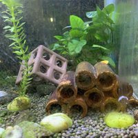 陶瓷躲避罐——小鱼小虾的庇护所