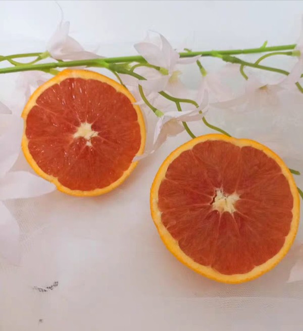 血橙10斤橙子新鲜水果秭归中华