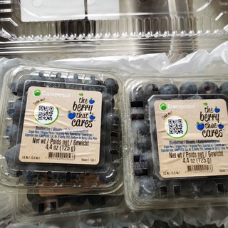 京东的蓝莓凑单后真便宜