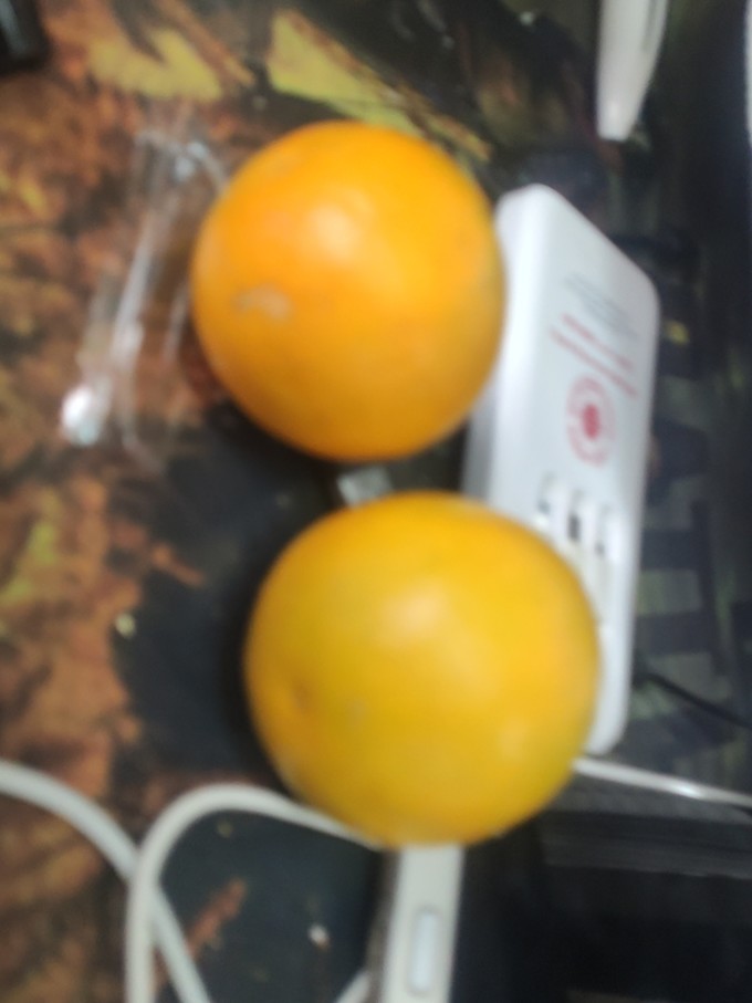 京觅橙子
