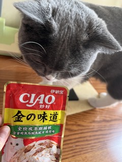 妙好全价猫湿粮包—小猫咪的营养零食