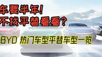 提车要半年！要不找平替看看？BYD热门车型平替车型一览