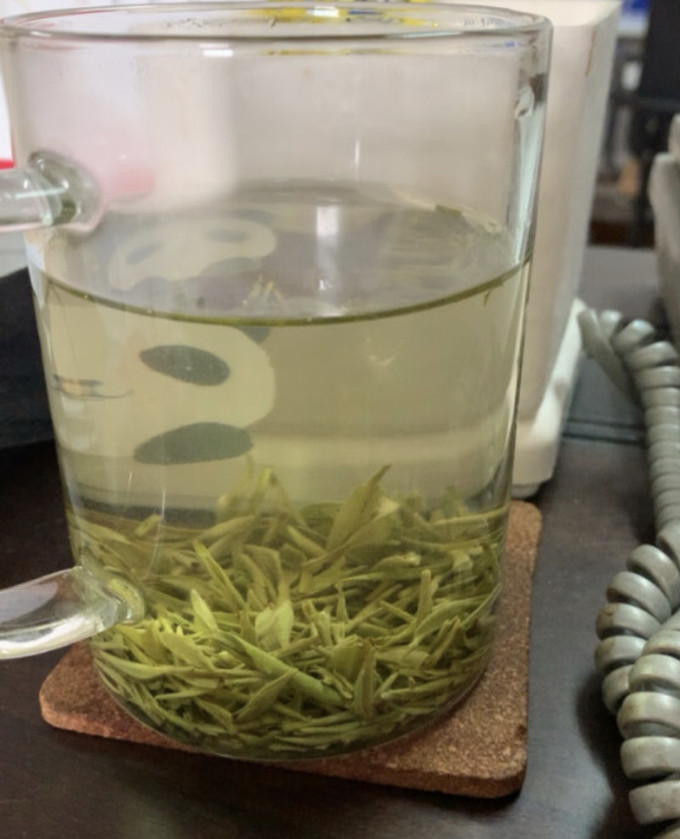 龙潭绿茶