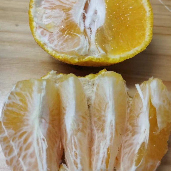 五丰橘/桔