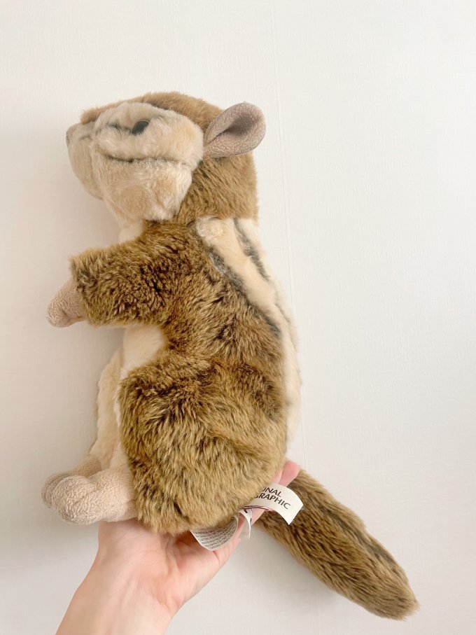 这是我见过的最真的花栗鼠玩偶