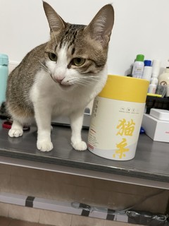 京东京造猫条 日常小零食很不错