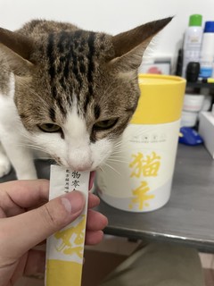 京东京造猫条 日常小零食很不错