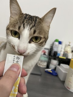 京东京造猫条 日常小零食很不错