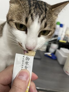 京东京造猫条 日常小零食很不错