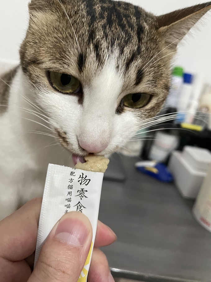 京东京造猫零食