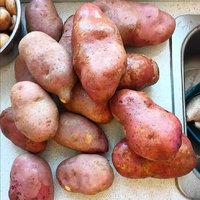 你吃过云南的红皮土豆吗？