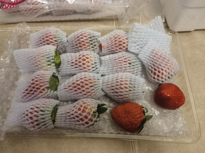 玖玖农场草莓