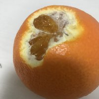 爱媛果冻橙真的像果冻