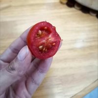 这个小番茄好甜啊