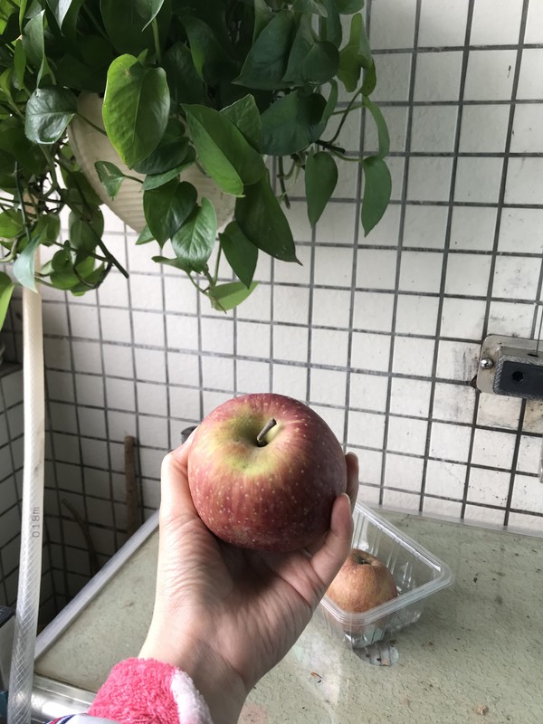 一天一苹果健康又美味