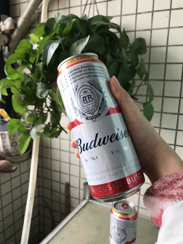 很喜欢喝这种清爽口的啤酒