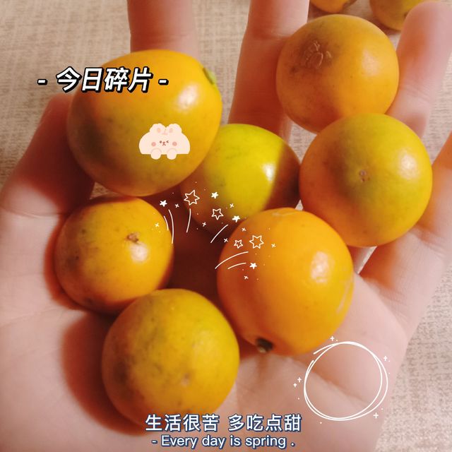 超解腻的水果！小金桔