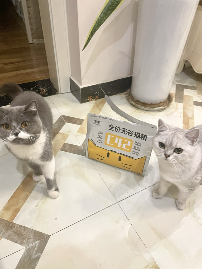 猫粮