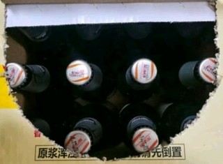 龙山泉啤酒干啤瓶装 480mLx12本溪特产