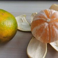 冬天正是各种柑橘上市的季节