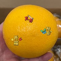 半斤一个的橙子，你见过吗？