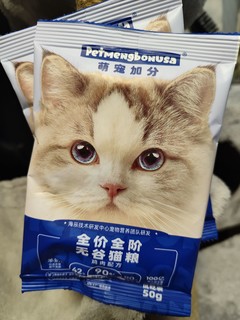 流浪过的猫猫说：粮食摩多摩多，我全都要