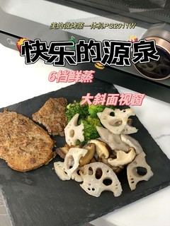 厨房收纳小助手，美的微蒸烤料理炉