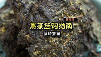 玲玲说茶 篇十：不是所有黑茶都自带“金花”的，茯砖茶了解一下，喝过的都夸它是个宝