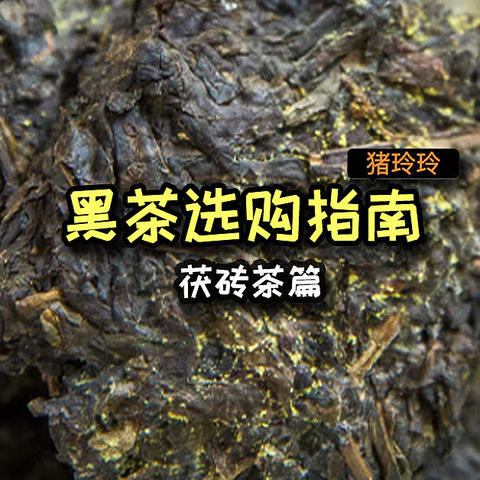 不是所有黑茶都自带“金花”的，茯砖茶了解一下，喝过的都夸它是个宝