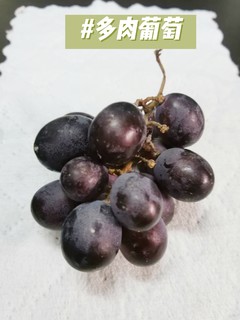爱吃葡萄的人买到新鲜的葡萄真的会开心！