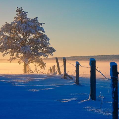 越是漫天大雪，越要能量加倍！解决冬日疲倦这些妙招给你活力满满一整天！