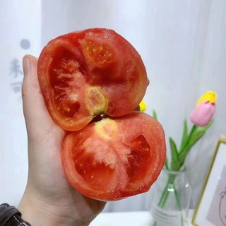 菜市真的好贵🍅沙瓤好甜啊