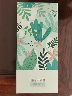 博皓5002系列冲牙器