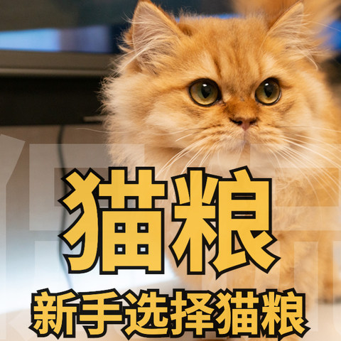 猫粮年度推荐， 新手选择猫粮怎么选？硬核干货，建议收藏