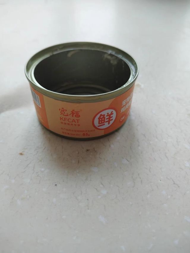 猫咪罐头