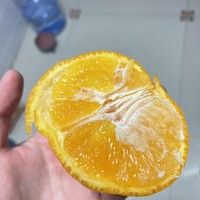 值得买的果冻橙