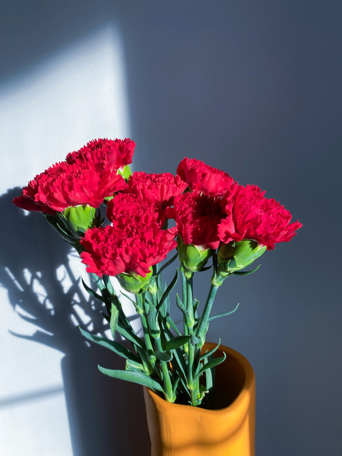 花点时间鲜花绿植