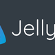 Jellyfin串流，让客户端解码