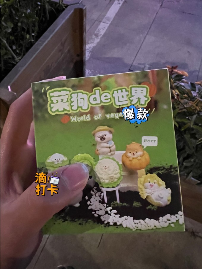 哔哩哔哩动物模型