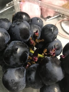多汁美味的黑葡萄，爱葡萄人士快看！