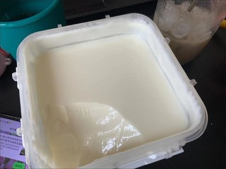 新疆大桶老酸奶一次吃到爽