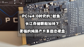 解决PC常见问题 篇八十七：PCIe4.0时代的“鲶鱼”丨长江存储加持下更强的纯国产方案固态硬盘