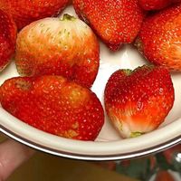 这可不是一般的草莓 这是生长大凉山的草莓