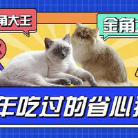 “金角大王”与“银角大王”养成记，2022年吃过的猫粮篇！