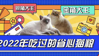 “金角大王”与“银角大王”养成记，2022年吃过的猫粮篇！