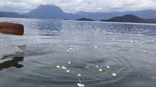 走过泸沽湖的情人桥，见过泸沽湖的水性杨花