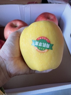 苹果🍎只吃烟台的，不服来战～