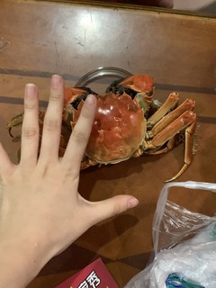 吃一只大大大螃蟹🦀