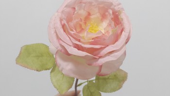 微微有话说 篇七十一：超级仿真的粉玫瑰花，只需要个位数就能入手了！