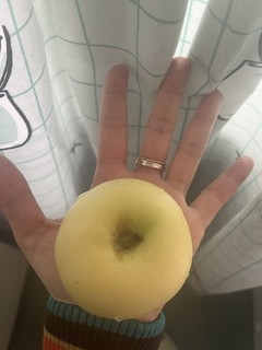 巴掌大小的苹果🍎山东奶油富士